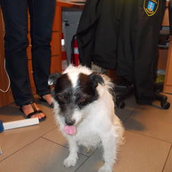 zdjecie w liście aktualnosci