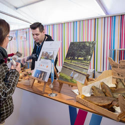 zdjecie w liście aktualnosci