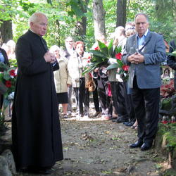 zdjecie w liście aktualnosci