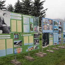 zdjecie w liście aktualnosci