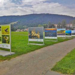 zdjecie w liście aktualnosci