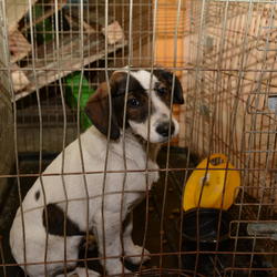 zdjecie w liście aktualnosci