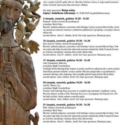 zdjecie w liście aktualnosci