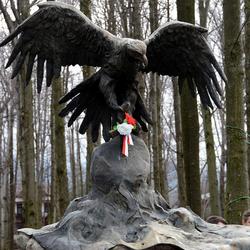 zdjecie w liście aktualnosci