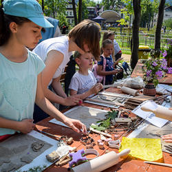 zdjecie w liście aktualnosci
