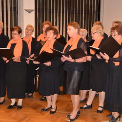 zdjecie w liście aktualnosci