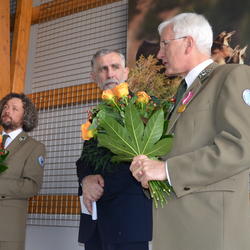 zdjecie w liście aktualnosci