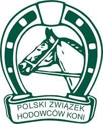 zdjecie w liście aktualnosci