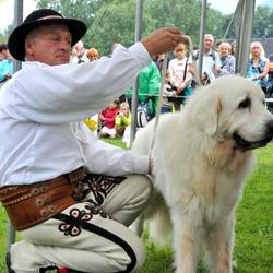 zdjecie w liście aktualnosci