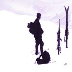 zdjecie w liście aktualnosci