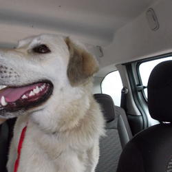 zdjecie w liście aktualnosci