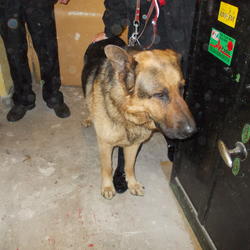 zdjecie w liście aktualnosci