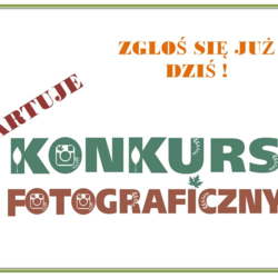 zdjecie w liście aktualnosci