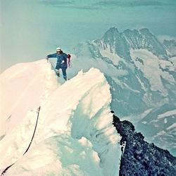 zdjecie w liście aktualnosci