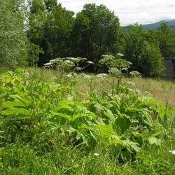 zdjecie w liście aktualnosci