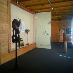 zdjecie w liście aktualnosci