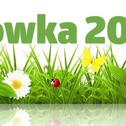 zdjecie w liście aktualnosci