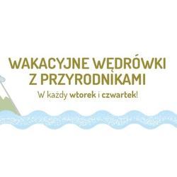 zdjecie w liście aktualnosci