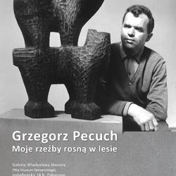 zdjecie w liście aktualnosci