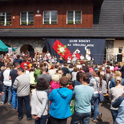 zdjecie w liście aktualnosci