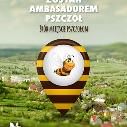 zdjecie w liście aktualnosci