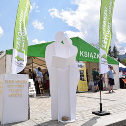 zdjecie w liście aktualnosci