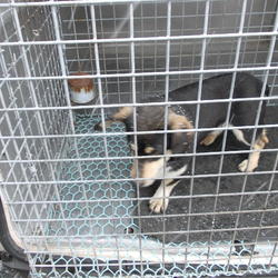 zdjecie w liście aktualnosci