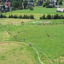 zdjecie w liście aktualnosci