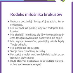 zdjecie w liście aktualnosci