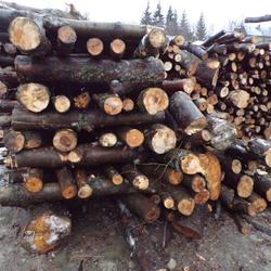 zdjecie w liście aktualnosci