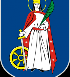 zdjecie w liście aktualnosci