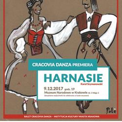 zdjecie w liście aktualnosci