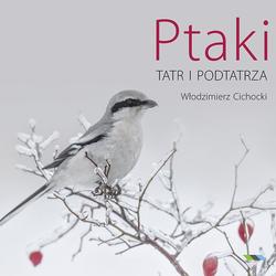 zdjecie w liście aktualnosci