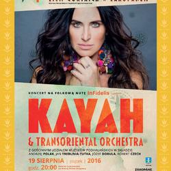 zdjecie w liście aktualnosci