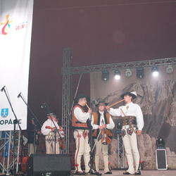 zdjecie w liście aktualnosci