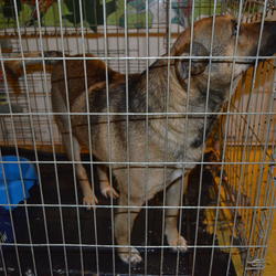 zdjecie w liście aktualnosci