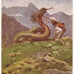 zdjecie w liście aktualnosci