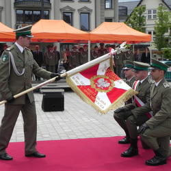 zdjecie w liście aktualnosci