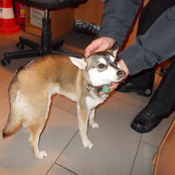 zdjecie w liście aktualnosci