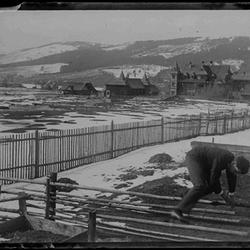 zdjecie w liście aktualnosci
