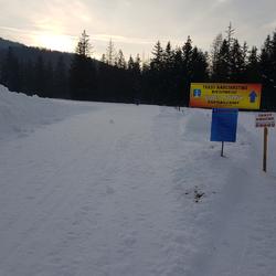 zdjecie w liście aktualnosci