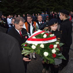 zdjecie w liście aktualnosci