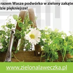 zdjecie w liście aktualnosci