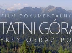 zdjecie w liście aktualnosci