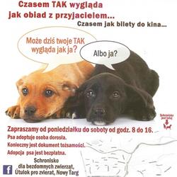 zdjecie w liście aktualnosci