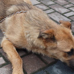 zdjecie w liście aktualnosci