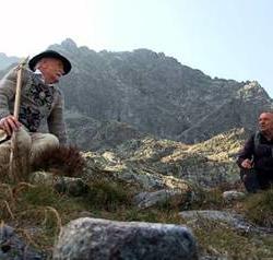 zdjecie w liście aktualnosci