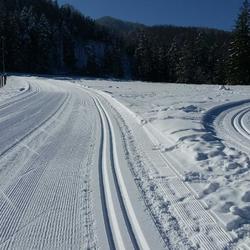 zdjecie w liście aktualnosci