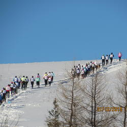 zdjecie w liście aktualnosci