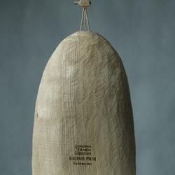 zdjecie w liście aktualnosci